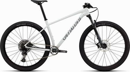 Paint for 2025 Specialized Chisel Hardtail - Gloss Dove Grey - Rotaris B.V.