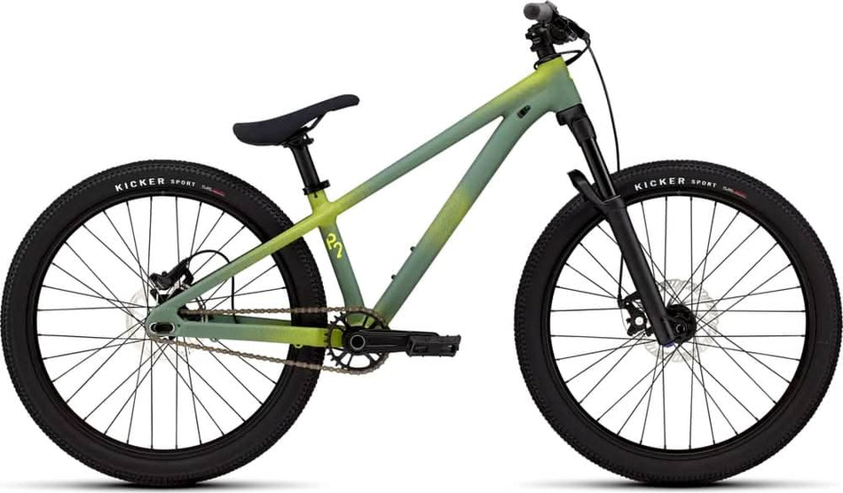 Paint for 2025 Specialized P.2 - Satin Sage Green - Rotaris B.V.