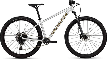 Paint for 2025 Specialized Rockhopper Expert - Gloss Silver Dust - Rotaris B.V.