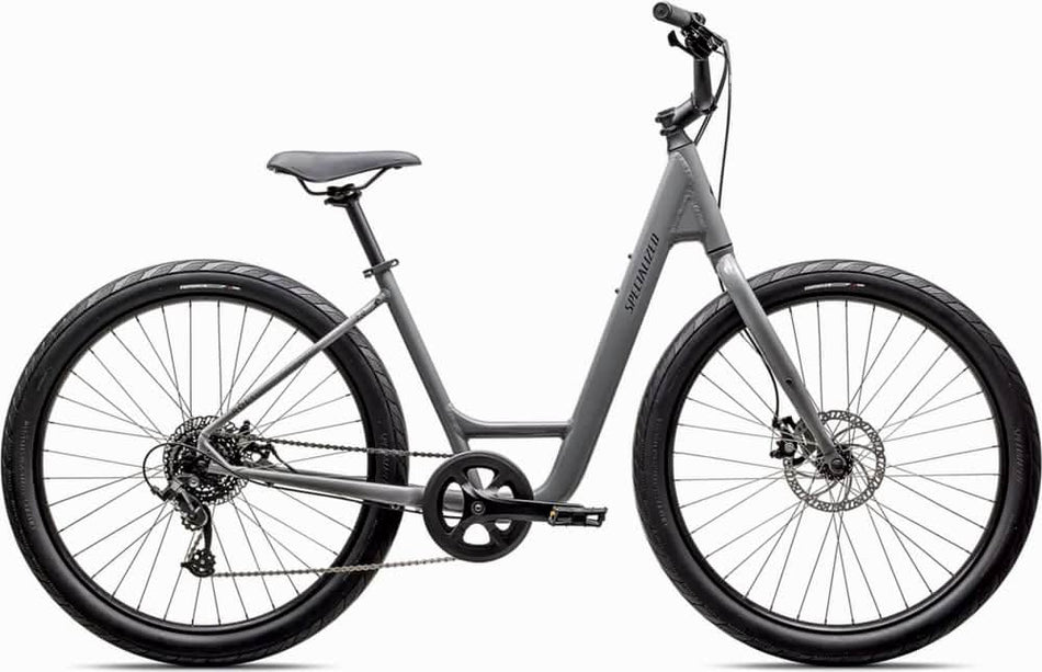Paint for 2025 Specialized Roll 2.0 Low Entry - Gloss Cool Grey - Rotaris B.V.