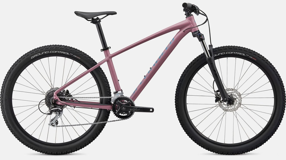 Paint for 2020 Specialized Pitch Sport - Satin Dusty Lilac - Rotaris B.V.