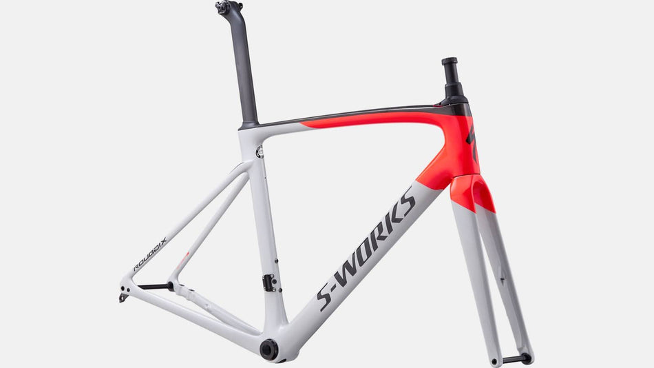 Paint for 2020 Specialized S - Works Roubaix Frameset - Gloss Dove Grey - Rotaris B.V.