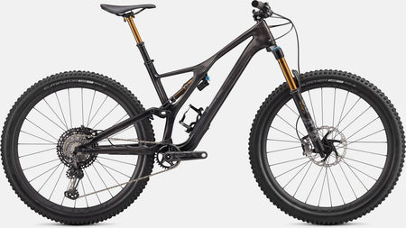 Paint for 2020 Specialized S - Works Stumpjumper 29 - Gloss Carbon - Rotaris B.V.