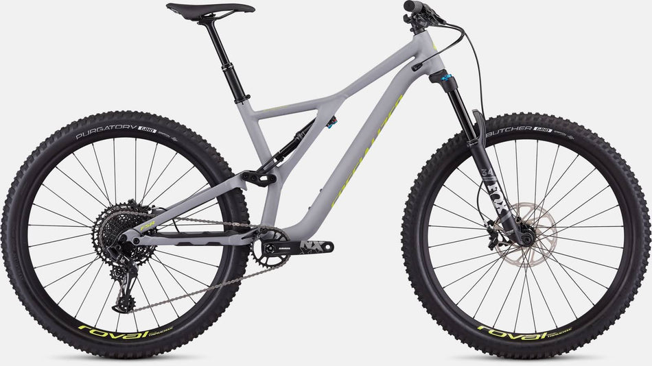 Paint for 2020 Specialized Stumpjumper Comp Alloy 29 - Satin Cool Grey - Rotaris B.V.