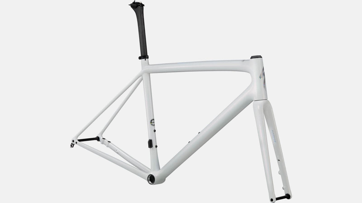Paint for 2021 Specialized Aethos Frameset - Gloss Abalone - Rotaris B.V.