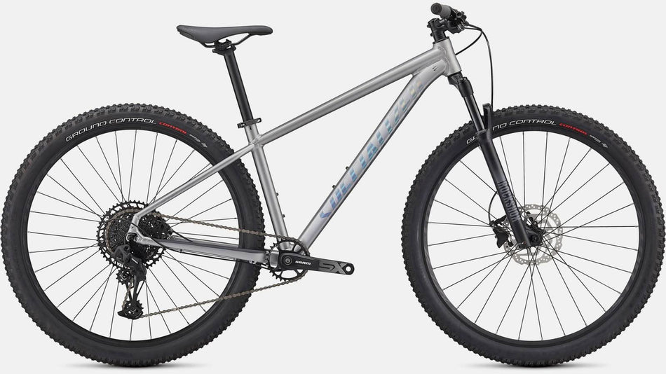 Paint for 2021 Specialized Rockhopper Expert 27.5 - Satin Silver Dust - Rotaris B.V.