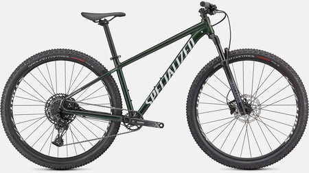 Paint for 2021 Specialized Rockhopper Expert 29 - Gloss Oak Green Metallic - Rotaris B.V.
