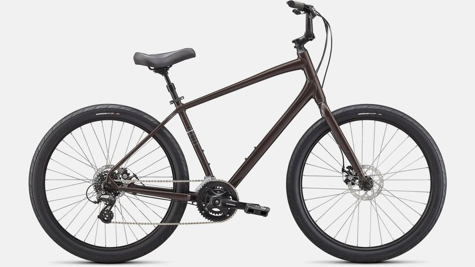 Paint for 2021 Specialized Roll Sport - Gloss Cast Umber - Rotaris B.V.