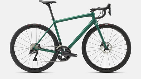 Paint for 2022 Specialized Aethos Expert - Gloss Pine Green - Rotaris B.V.