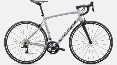 Paint for 2022 Specialized Allez Sport - Gloss Dove Grey - Rotaris B.V.