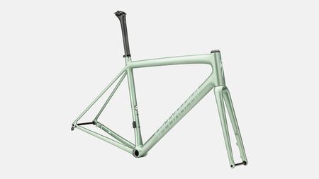 Paint for 2023 Specialized Aethos Frameset - Satin Metallic White Sage - Rotaris B.V.