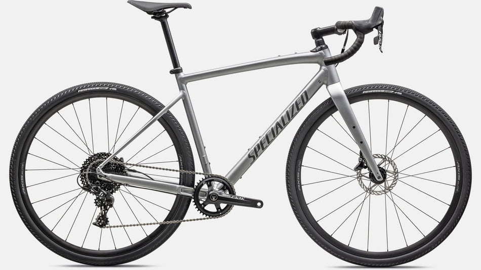 Paint for 2023 Specialized Diverge Comp E5 - Satin Silver Dust - Rotaris B.V.